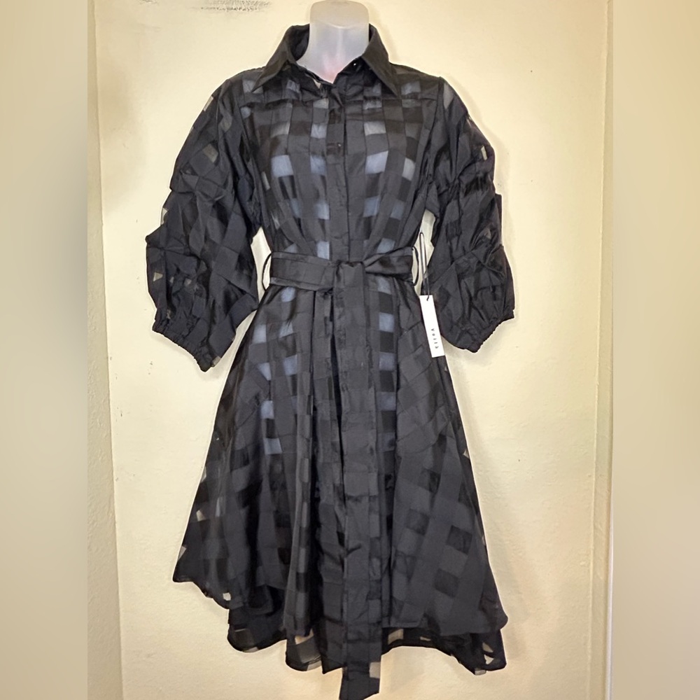 Sheer Button up Dress